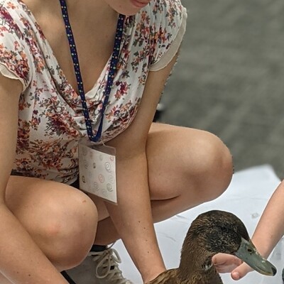 Fun with animals